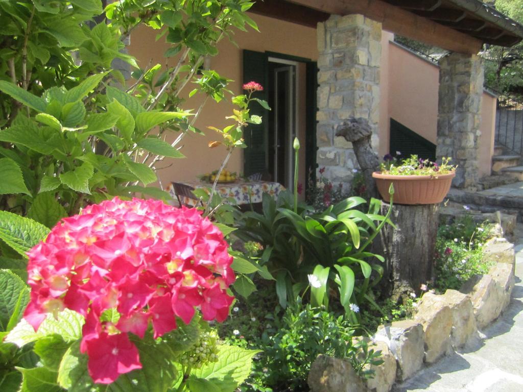 Agriturismo Turlin Vallebona Exterior photo