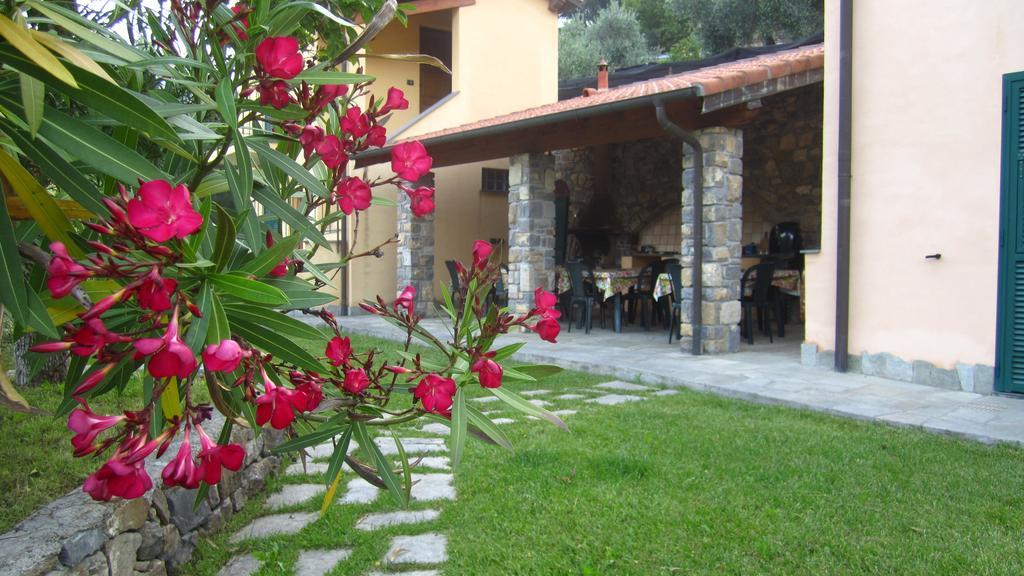 Agriturismo Turlin Vallebona Exterior photo